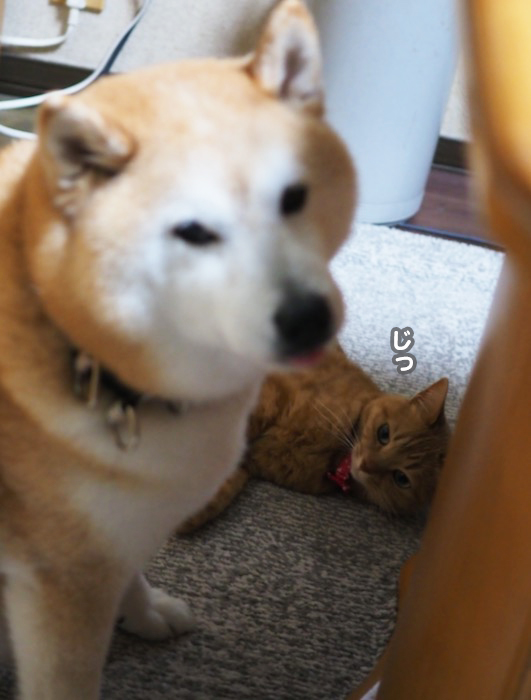 3日ブログ３