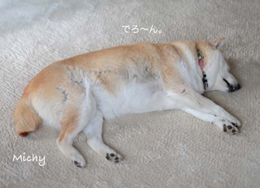 23日ブログ5.jpg