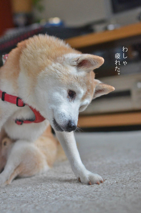 23日ブログ2