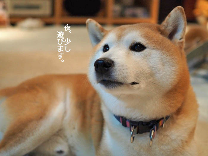 16日夜ブログ２