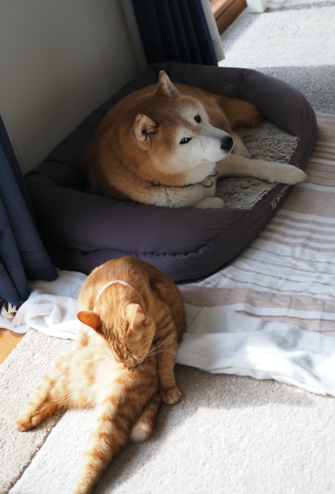 13日ブログ１