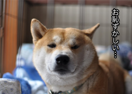 5日ブログ１９.jpg