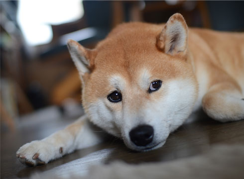 27日ブログ10.jpg