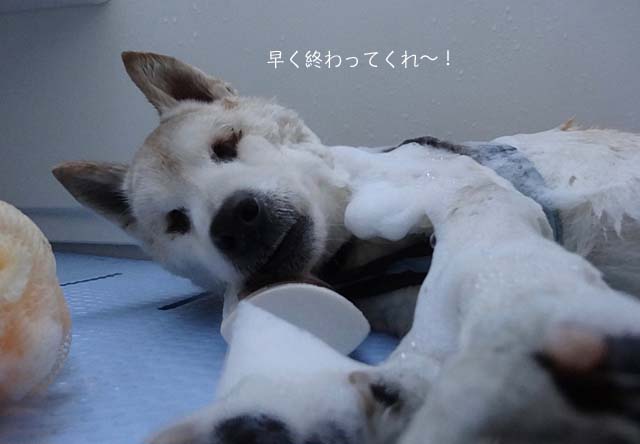 12日ブログ9