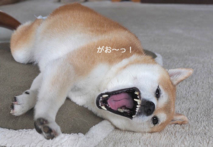 15日夜ブログ４