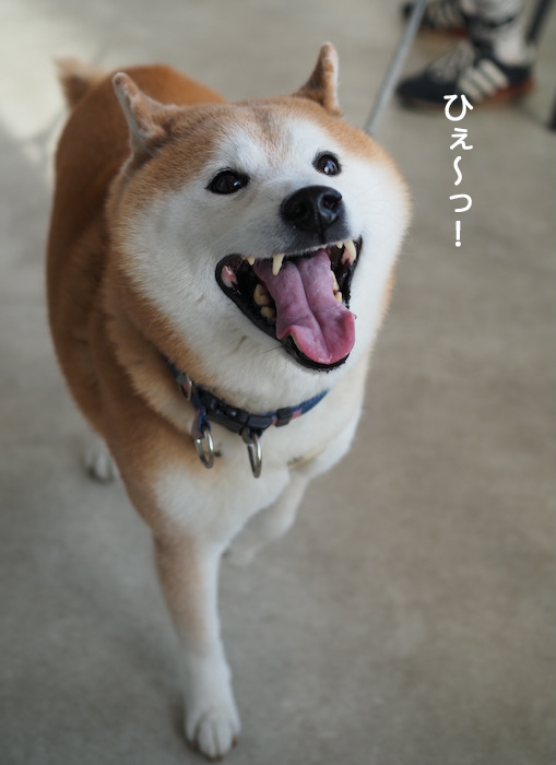 14日夜ブログ2