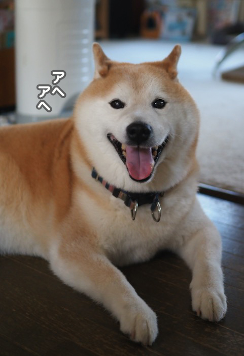 16日夕ブログ2