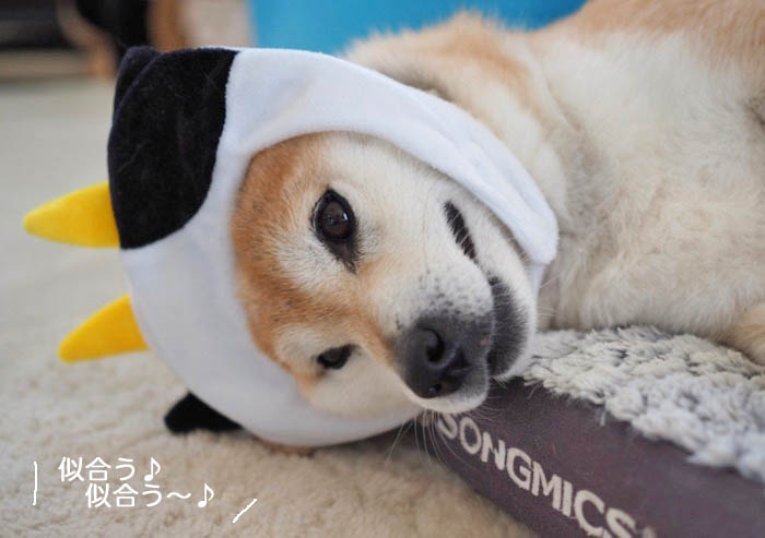 2日夜ブログ３
