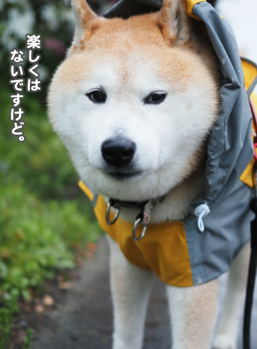 25日ブログ４