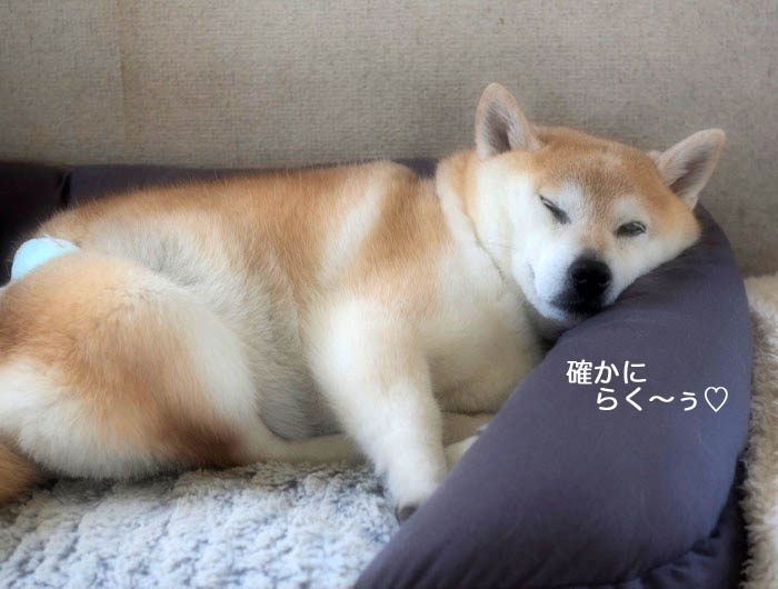 15日夕ブログ6