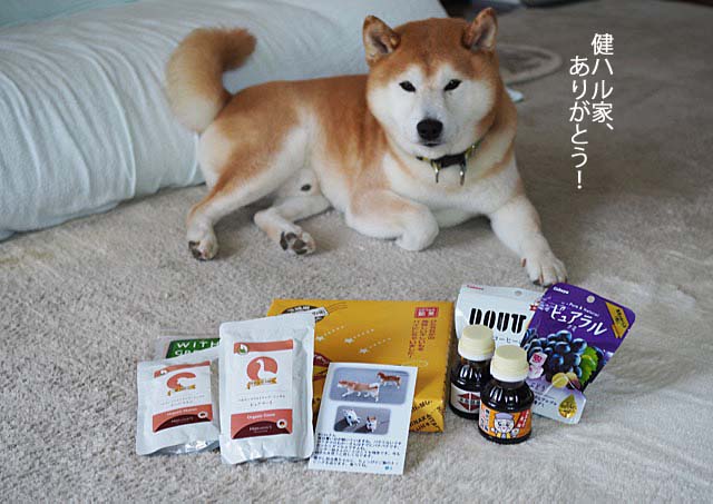 6日ブログ4