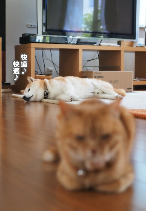 26日ブログ４