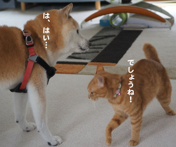 3日夕ブログ６