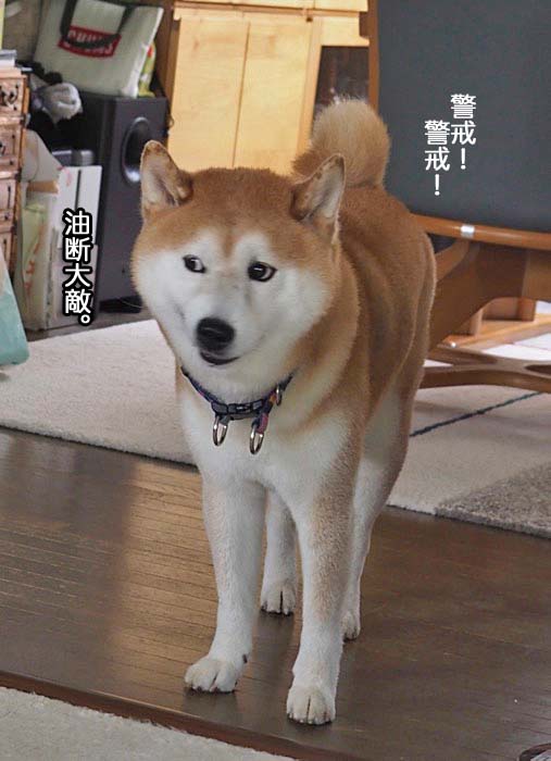 18日ブログ６