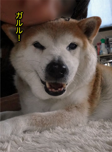 22日ブログ11.jpg