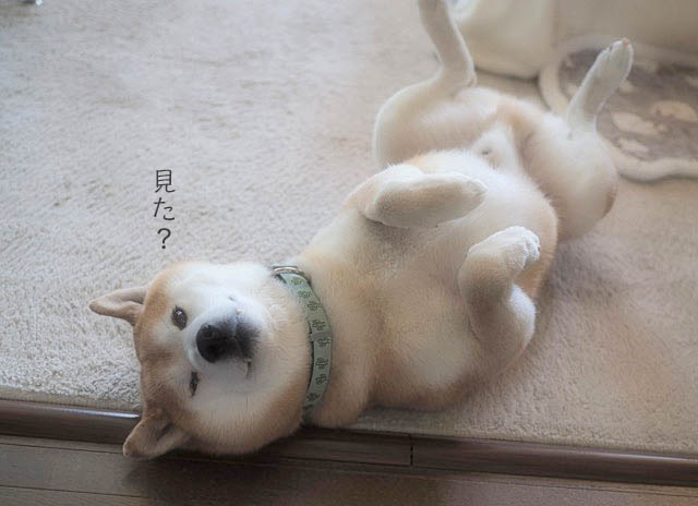 13日ブログ9