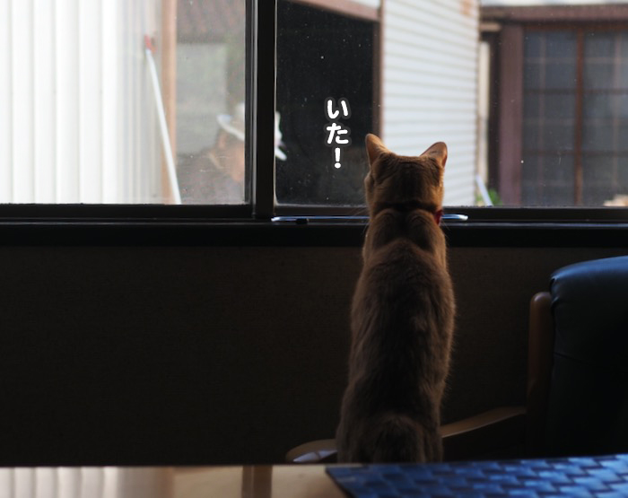 24日夕ブログ３
