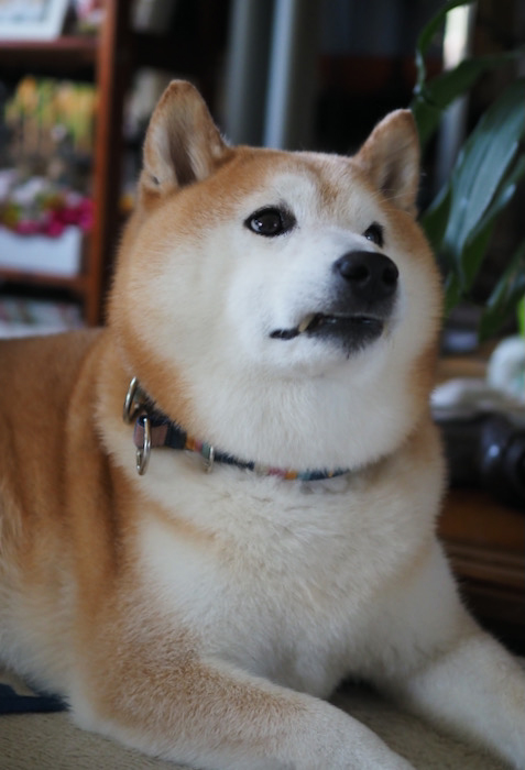 11日午前ブログ３
