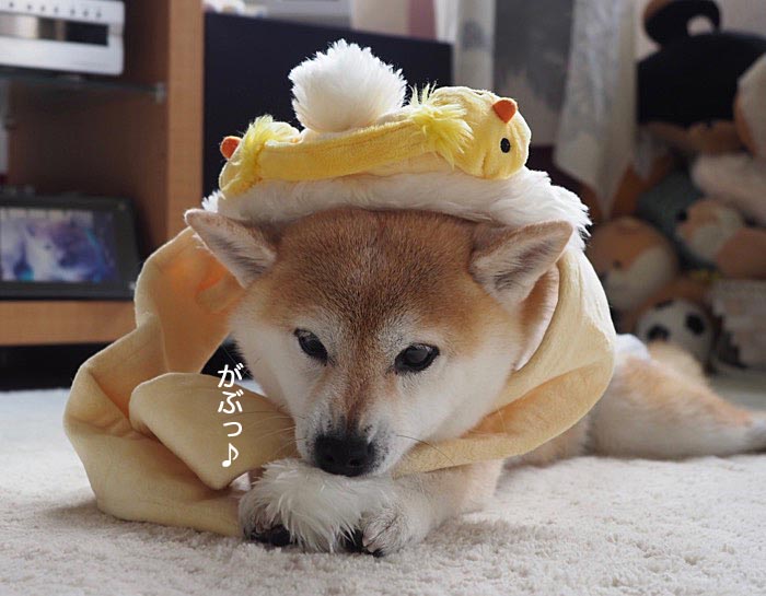 9日夜ブログ４