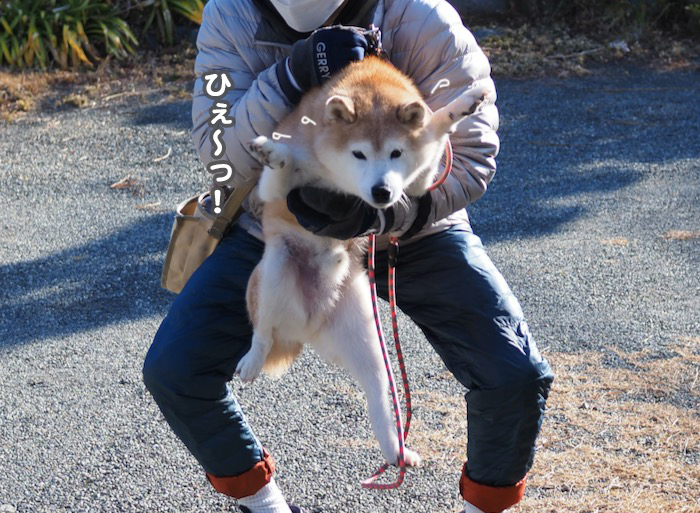 9日夕ブログ６
