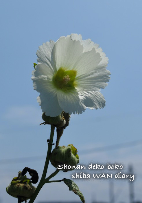 18日午前ブログ１