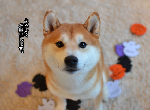 30日ブログ10.jpg