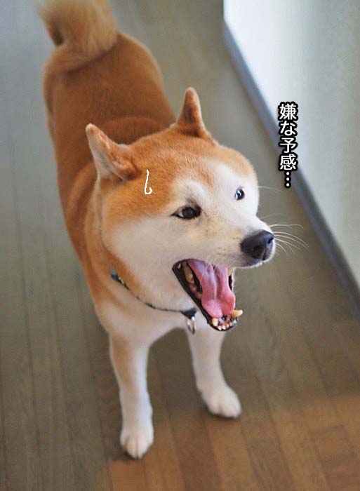 3日午後ブログ２