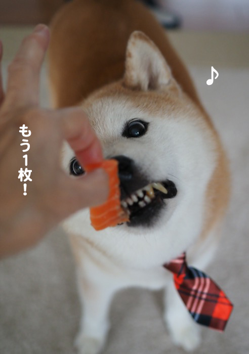 23日ブログ８