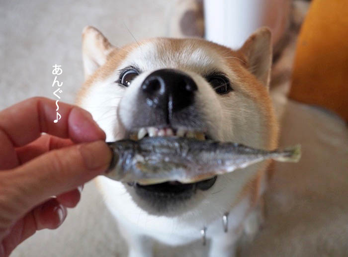 16日夕ブログ６