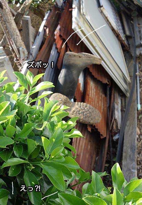 27日ブログ１