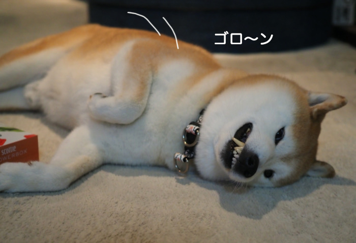 2日夜ブログ８