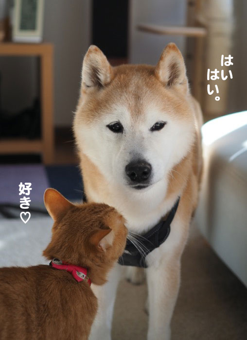 5日夕ブログ３