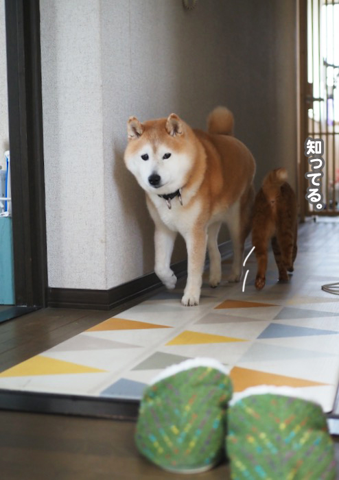 24日ブログ２