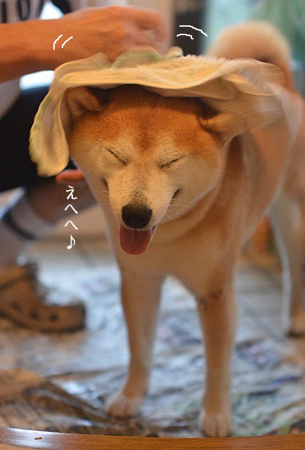 28日ブログ13