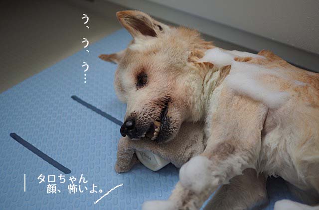 19日ブログ3
