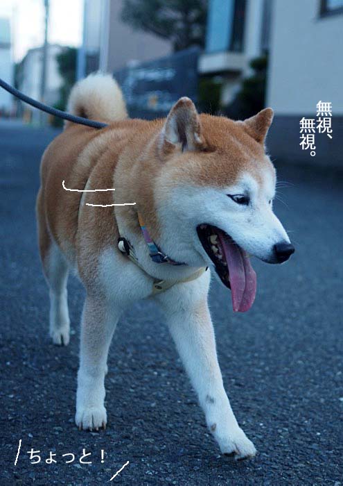 29日夕ブログ３