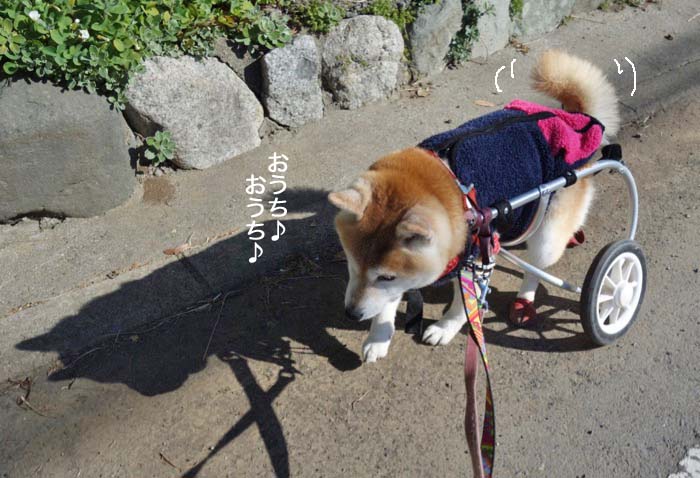 4日午後ブログ７