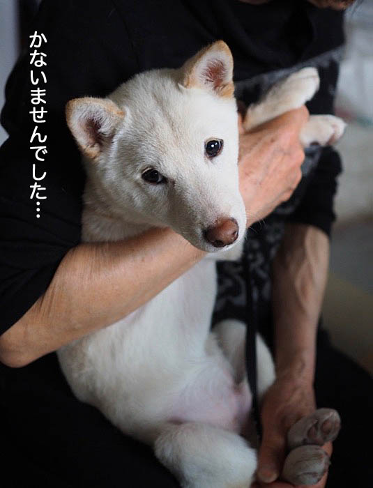 24日ブログ12