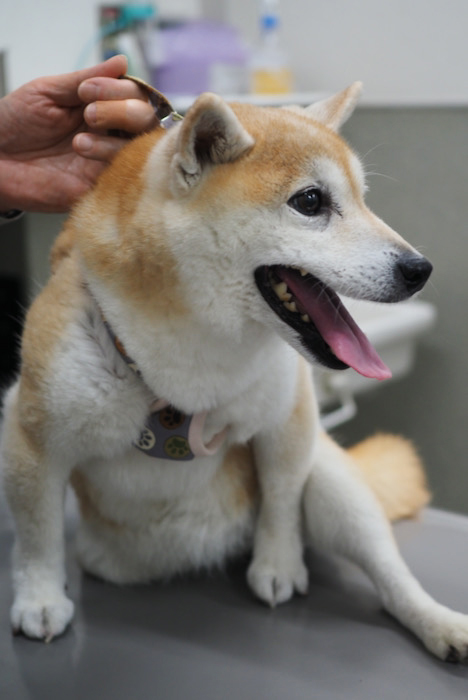 5日午後ブログ４