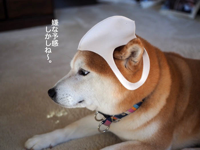 1日夜ブログ８