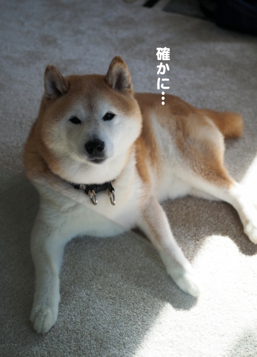 16日ブログ５