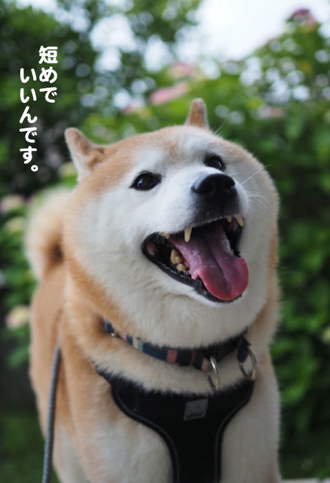 1日午前ブログ５