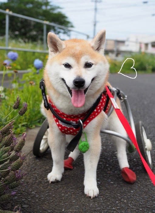 28日ブログ３