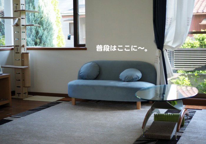 1日夕ブログ２