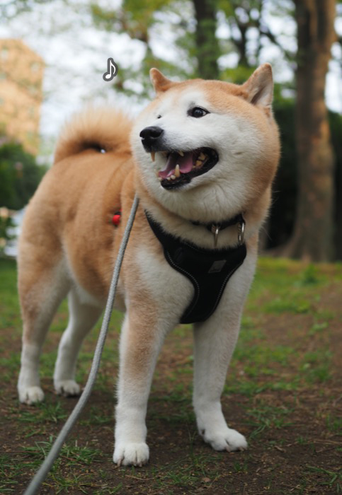 11日ブログ２