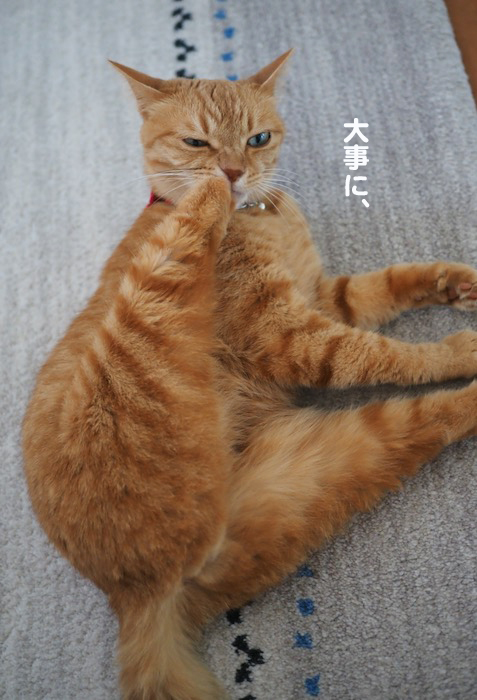 4日夕ブログ４