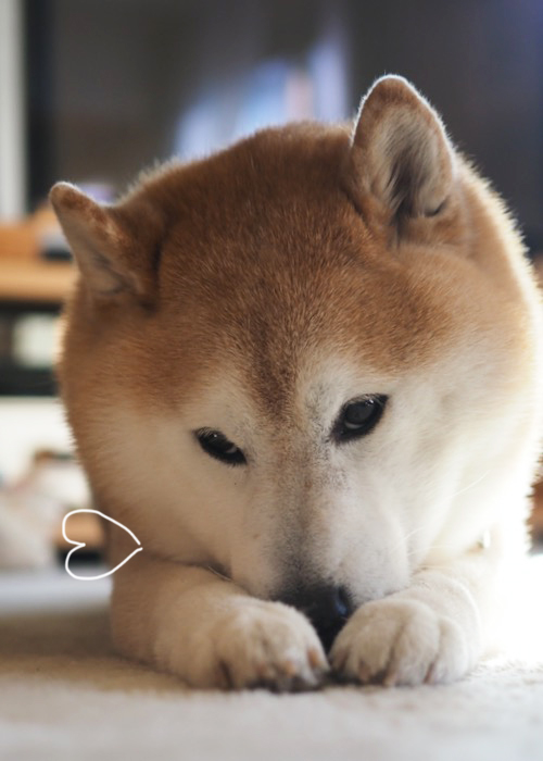 25日ブログ8
