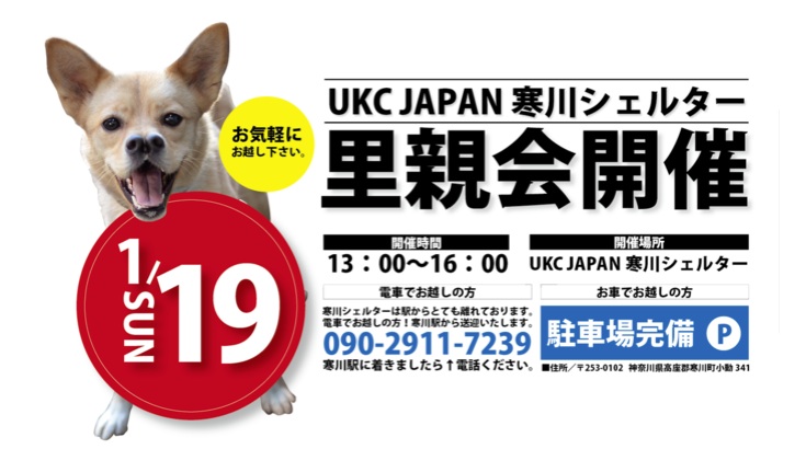 10日ブログ13.jpg 10日ブログ13.jpg