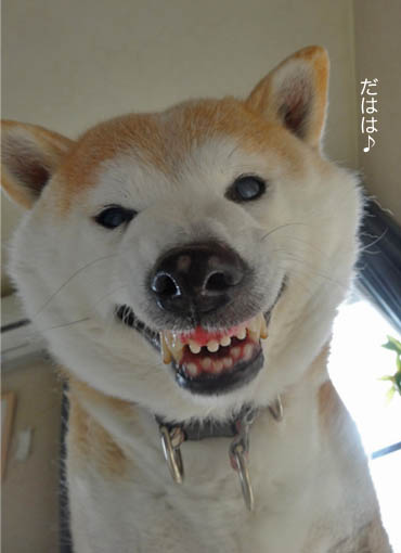 14日ブログ４.jpg