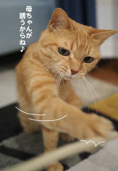 15日夕ブログ7